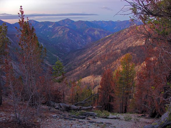 Warm Springs Creek. Frank Church Wilderness. Burned out in 2007. October 6, 2008. Copyright Ralph Maughan