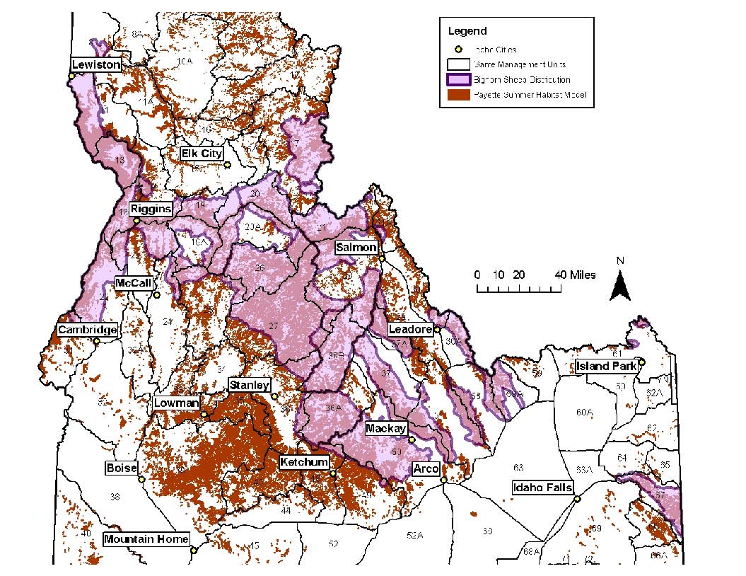 Bighorn distribution and habitat in central Idaho